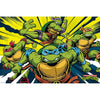 Teenage Mutant Ninja Turtles Poster