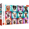 Trefl Red Funny Dog Portraits II - 2000 Piece Puzzle