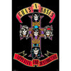 Guns & Roses - Appetite For Destruction Poster