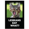 Lesbians eat what? Magnet