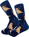 Golden Retriever  - Socks