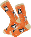 Boston Terrier - Socks