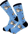 Australian Shepherd - Socks