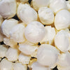 Freeze Dried Taffy - Eggnog - 2.4oz Peg Bag