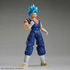 Super Saiyan God Super Saiyan Vegetto "Dragon Ball Z", Bandai Hobby Figure-rise Standard