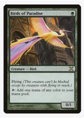 Birds of Paradise - 10th Edition - #252/383 - Sweets and Geeks