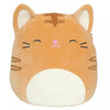 Squishmallows - Nathan the Orange Tabby Cat 16"