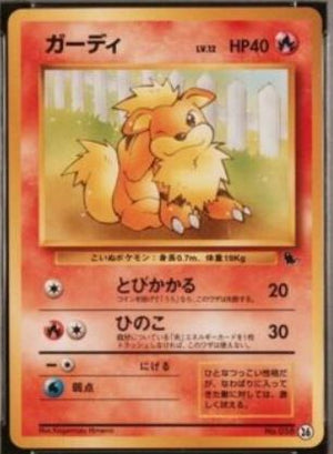 Growlithe - Squirtle Deck VHS Promo - #26 - JAPANESE - Sweets and Geeks