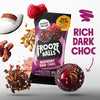 Raspberry Dark Choc-Frooze Balls 2.5oz