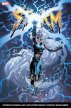 Storm #2 (Kubert Ultimate Last Look Variant) - Sweets and Geeks