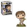 Funko POP! Star Wars: Luke Skywalker & Yoda - Sweets and Geeks