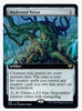 Maskwood Nexus (Extended Art) - Kaldheim - #369 - Sweets and Geeks