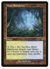 Misty Rainforest (Retro Frame) - Modern Horizons 2 - #438