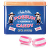 Candy Tin - Possum