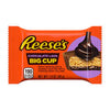 Reese's Big Cup Chocolate Lava 1.4oz Pouch