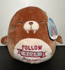 Squishmallow - Bindy the Walrus 8" Follow Your Dreams