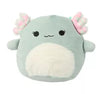 Squishmallows: Chasmen the Axolotl 8"