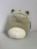 Squishmallows - Arthur the Alligator 8"