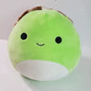 Squishmallows - Antoni the Turtle 7"