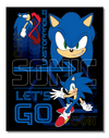 Sonic-Let's Go! Metal Sign - Sweets and Geeks