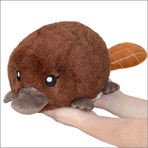 Mini Squishables - Baby Platypus (7") - Sweets and Geeks