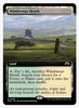 Windswept Heath (Extended Art) - Modern Horizons 3 - #0466