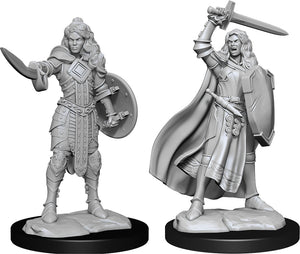 Pathfinder Deep Cuts Unpainted Miniatures: W14 Human Champion Female (April 2021 Preorder) - Sweets and Geeks