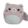 Squishmallows - Pet Shop 8" Plush - Sweets and Geeks