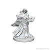 Dungeons & Dragons Nolzur`s Marvelous Unpainted Miniatures: W1 Human Female Wizard - Sweets and Geeks