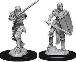 Dungeons & Dragons Nolzur`s Marvelous Unpainted Miniatures: W9 Female Human Fighter - Sweets and Geeks