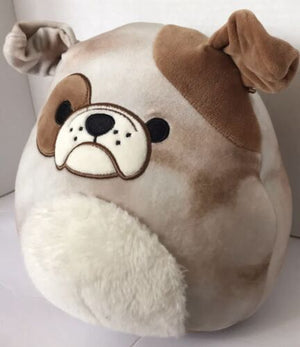 Squishmallow - Bronk The Bulldog 8" - Sweets and Geeks