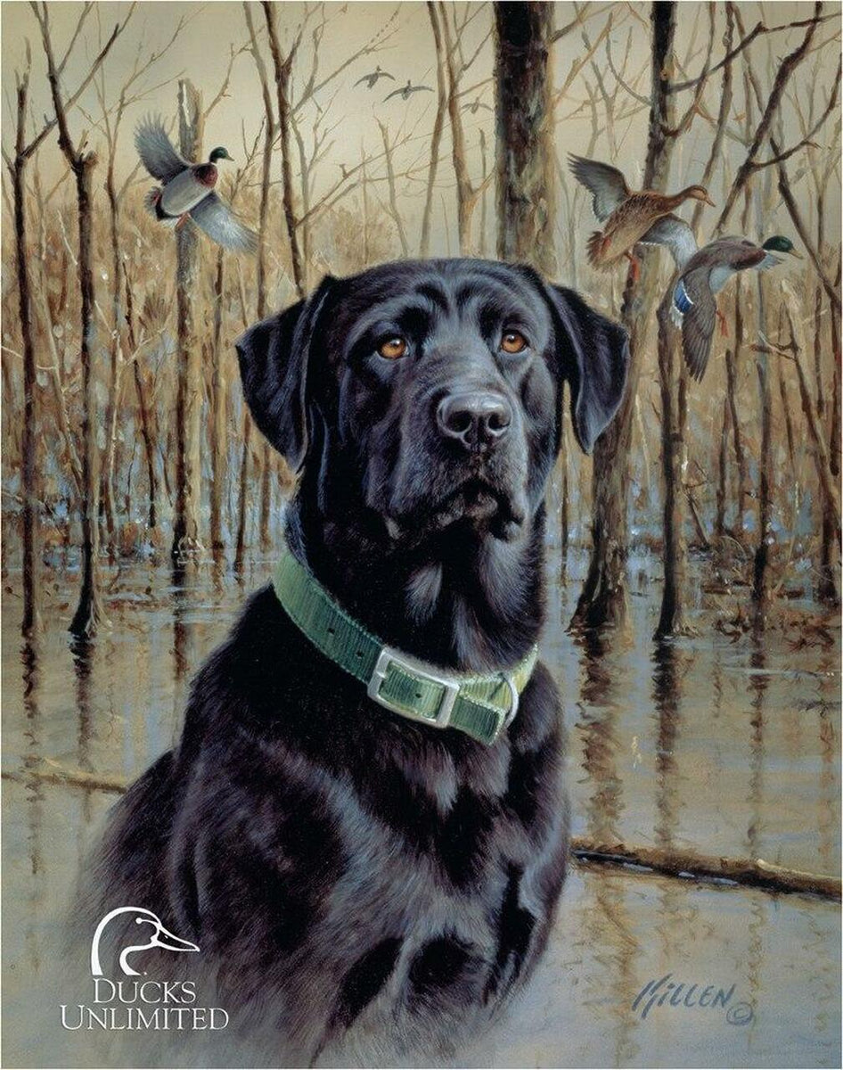 Ducks Unlimited Black Lab Tin Sign – Sweets and Geeks