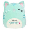 Squishmallow - Jules the Cat 16 Inch - Sweets and Geeks