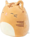 Squishmallow - Nathan the Tabby Cat 8" - Sweets and Geeks