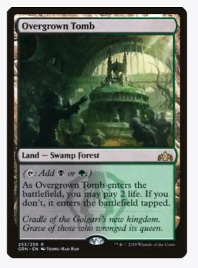 Overgrown Tomb - Guilds of Ravnica - #253/259 - Sweets and Geeks