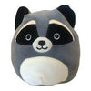 Squishmallow - Randy the Racoon 5" - Sweets and Geeks