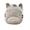 Squishmallow - Tally the Tabby Cat 8" - Sweets and Geeks