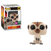 Funko Disney: Lion King - Timon (Live Action) (Flocked) (Barnes & Noble Exclusive) #549 - Sweets and Geeks